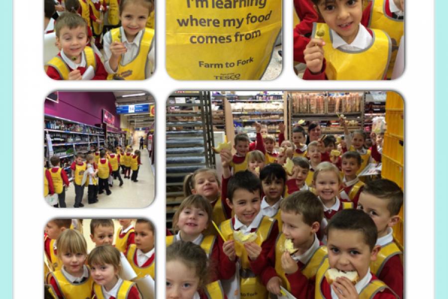 school visit to tesco